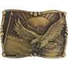 Cody James Men's Antiqued American Flag And Eagle Belt Buckle -Ariat Shop 2000047011 200 P1