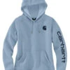 Carhartt Women's Clarksburg Logo Graphic Hoodie -Ariat Shop 2000369256 450 P1