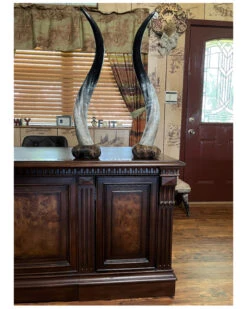 Shawnee Trading Post Mounted Genuine Longhorn Stands On Cowhide Base -Ariat Shop 2000382548 200 P2